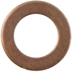 Order Rear Banjo Bolt Washer by DORMAN/AUTOGRADE - 484-180.1 For Your Vehicle