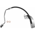 Order Rear Brake Hose by BRAKEBEST - BH381283 For Your Vehicle