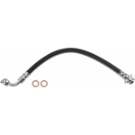 Order Rear Brake Hose by BRAKEBEST - BH620523 For Your Vehicle