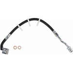 Order Rear Brake Hose by BRAKEBEST - BH621007 For Your Vehicle