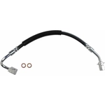 Order Rear Brake Hose by BRAKEBEST - BH621465 For Your Vehicle