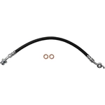 Order Rear Brake Hose by BRAKEBEST - BH622644 For Your Vehicle