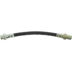 Order CENTRIC PARTS - 150.62313 - Rear Brake Hydraulic Hose For Your Vehicle