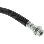 Order Rear Brake Hose by CENTRIC PARTS - 150.66345 For Your Vehicle