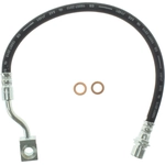 Order Rear Brake Hose by CENTRIC PARTS - 150.66375 For Your Vehicle