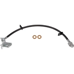 Order DORMAN/FIRST STOP - H620557 - Rear Brake Hose For Your Vehicle