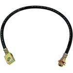 Order Rear Brake Hose by DORMAN/FIRST STOP - H36788 For Your Vehicle