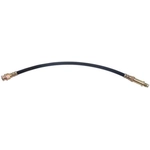 Order Rear Brake Hose by RAYBESTOS - BH13841 For Your Vehicle