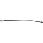 Order Rear Brake Hose by RAYBESTOS - BH32102 For Your Vehicle