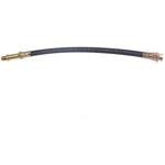 Order Rear Brake Hose by RAYBESTOS - BH35017 For Your Vehicle