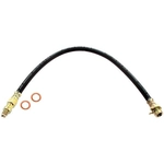 Order Rear Brake Hose by RAYBESTOS - BH36502 For Your Vehicle