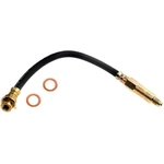 Order Rear Brake Hose by RAYBESTOS - BH36503 For Your Vehicle