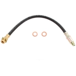 Order Rear Brake Hose by RAYBESTOS - BH36528 For Your Vehicle