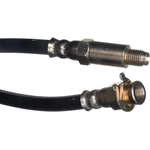Order Rear Brake Hose by RAYBESTOS - BH36528 For Your Vehicle