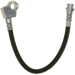 Order Rear Brake Hose by RAYBESTOS - BH36782 For Your Vehicle