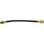 Order Rear Brake Hose by RAYBESTOS - BH380050 For Your Vehicle
