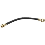 Order Rear Brake Hose by RAYBESTOS - BH380051 For Your Vehicle