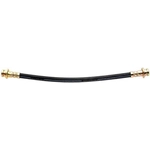 Order Rear Brake Hose by RAYBESTOS - BH38006 For Your Vehicle