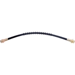 Order Rear Brake Hose by RAYBESTOS - BH380070 For Your Vehicle