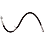 Order Rear Brake Hose by RAYBESTOS - BH380101 For Your Vehicle