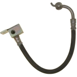 Order Rear Brake Hose by RAYBESTOS - BH380197 For Your Vehicle