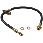 Order Rear Brake Hose by RAYBESTOS - BH380224 For Your Vehicle
