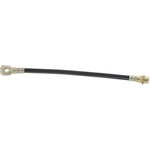 Order Rear Brake Hose by RAYBESTOS - BH380245 For Your Vehicle