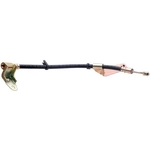 Order Rear Brake Hose by RAYBESTOS - BH380337 For Your Vehicle