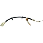 Order Rear Brake Hose by RAYBESTOS - BH380338 For Your Vehicle
