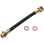 Order Rear Brake Hose by RAYBESTOS - BH380483 For Your Vehicle