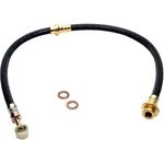 Order Tuyau de frein arrière de RAYBESTOS - BH380487 For Your Vehicle