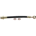 Order Rear Brake Hose by RAYBESTOS - BH380548 For Your Vehicle