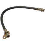 Order Rear Brake Hose by RAYBESTOS - BH380558 For Your Vehicle