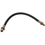 Order Rear Brake Hose by RAYBESTOS - BH380895 For Your Vehicle