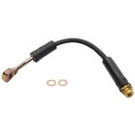 Order Rear Brake Hose by RAYBESTOS - BH380897 For Your Vehicle