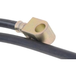 Order Rear Brake Hose by RAYBESTOS - BH380962 For Your Vehicle