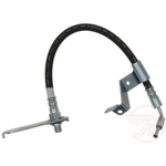 Order Rear Brake Hose by RAYBESTOS - BH380976 For Your Vehicle