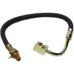 Order Rear Brake Hose by RAYBESTOS - BH381053 For Your Vehicle