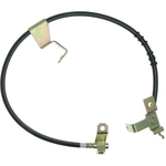 Order Rear Brake Hose by RAYBESTOS - BH381058 For Your Vehicle