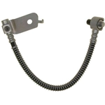 Order Rear Brake Hose by RAYBESTOS - BH381071 For Your Vehicle