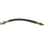 Order Rear Brake Hose by RAYBESTOS - BH381090 For Your Vehicle