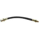 Order Rear Brake Hose by RAYBESTOS - BH381090 For Your Vehicle