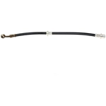 Order Rear Brake Hose by RAYBESTOS - BH381094 For Your Vehicle