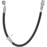 Order Rear Brake Hose by RAYBESTOS - BH381099 For Your Vehicle
