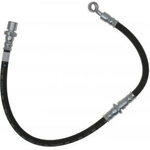 Order Rear Brake Hose by RAYBESTOS - BH381150 For Your Vehicle