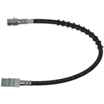 Order Rear Brake Hose by RAYBESTOS - BH381167 For Your Vehicle