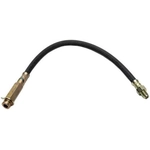 Order Rear Brake Hose by RAYBESTOS - BH381229 For Your Vehicle