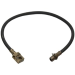 Order Rear Brake Hose by RAYBESTOS - BH381245 For Your Vehicle