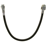 Order Rear Brake Hose by RAYBESTOS - BH38129 For Your Vehicle