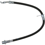 Order Rear Brake Hose by RAYBESTOS - BH381294 For Your Vehicle